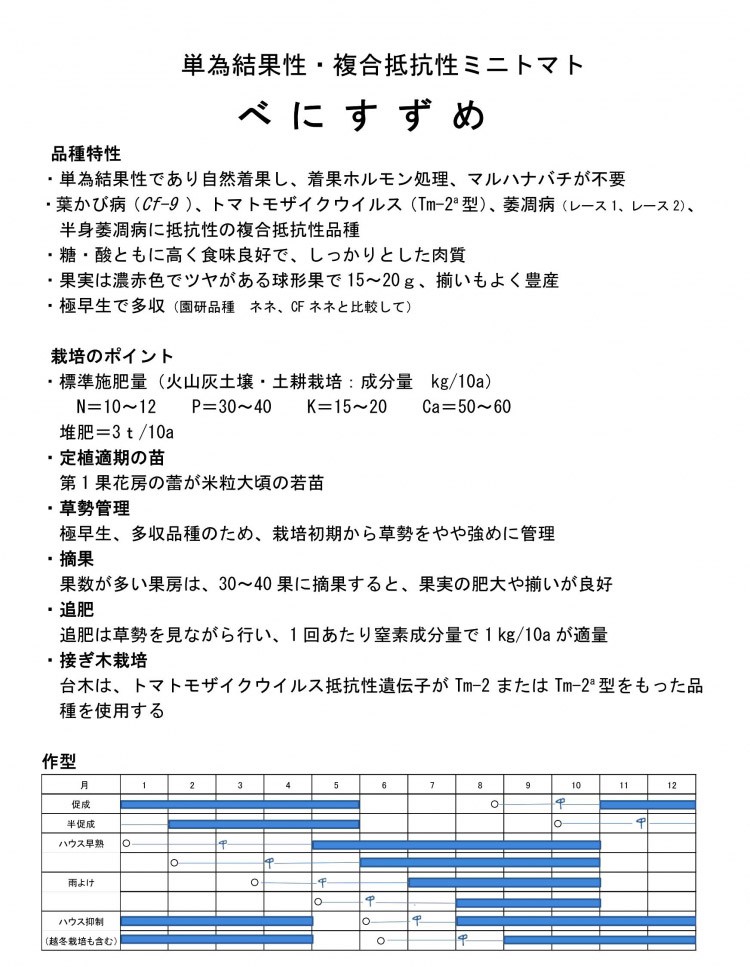 べにすずめ 100粒 【ミニトマト種子】 園芸植物育種研究所育成 ☆新タネは種子切替えの12月以降のお届けを予定  :VS001041900-2:清水屋種苗園芸ヤフーショップ 通販 