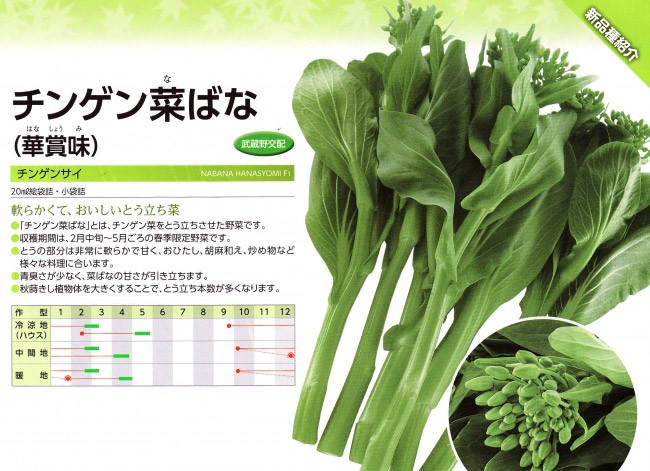 武蔵野交配 チンゲン菜ばな 「華賞味（はなしょうみ）」 20ml 果菜
