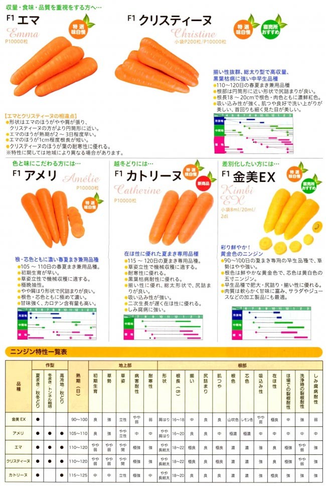 ニンジン種子】みかど協和 クリスティーヌ ペレット10000粒 ☆メーカー