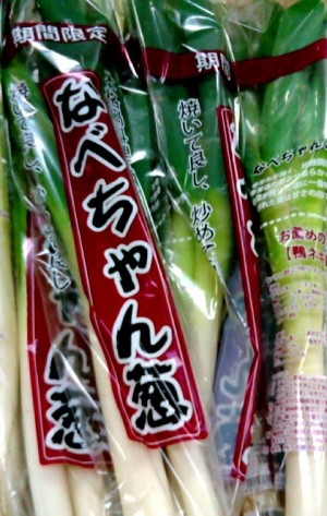 ねぎちゃん専用 ねぎ種子】ダイヤ交配（トキタ種苗） 防曇袋なべちゃん葱ゴールド用