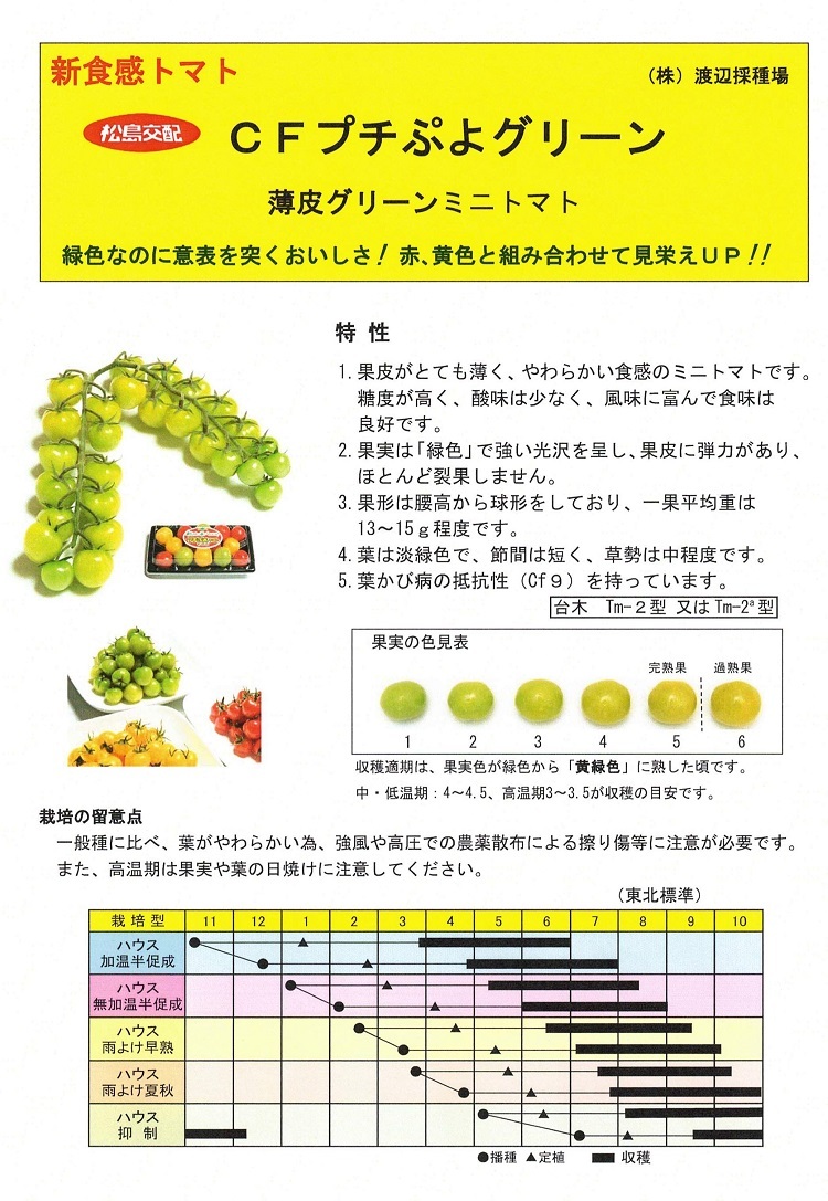 渡辺採種場 トマト CFプチぷよ 生種 約1000粒 果菜 | www.vinoflix.com