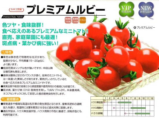【ミニトマト種子】　カネコ交配　「プレミアムルビー」　1000粒　★お届けは12月中旬以降　★出荷用シールも新登場！     ポスト投函