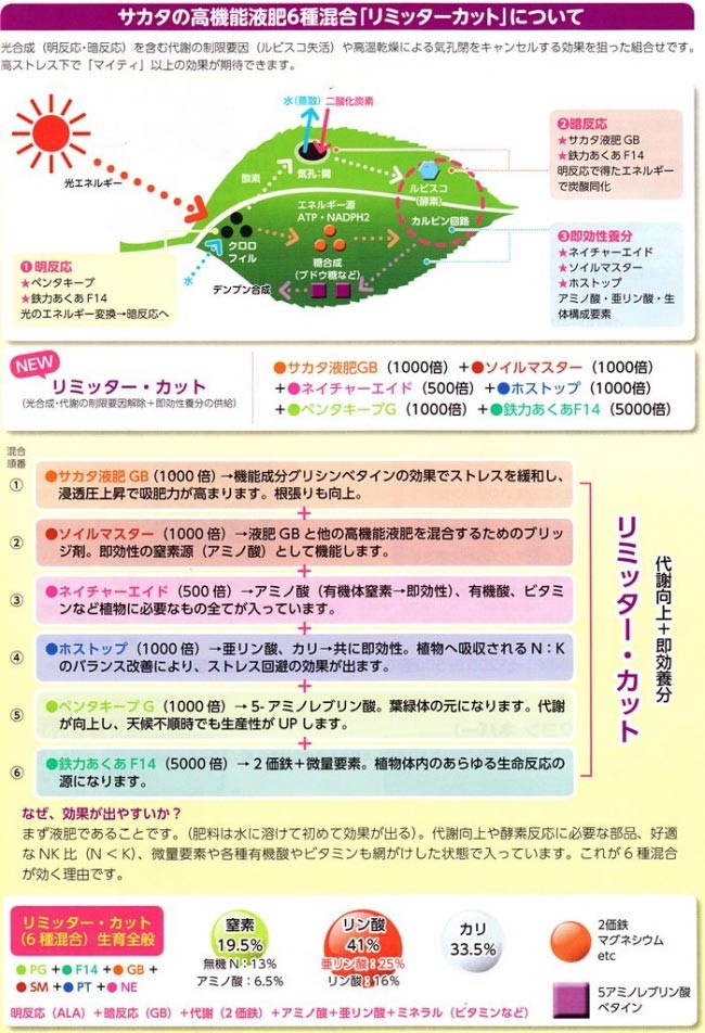 液体肥料】 サカタの高機能液肥シリーズ 液状複合肥料 「ALA-FeSTA（ア