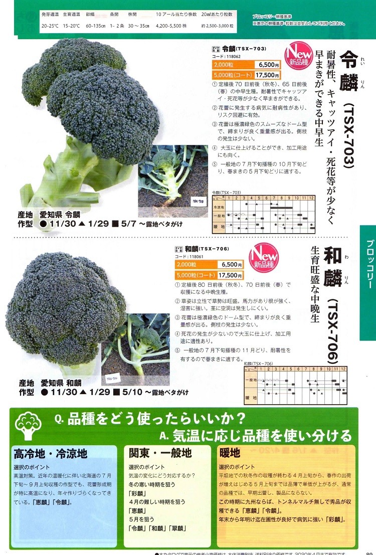 「令麟（れいりん）」「和麟（わりん）」5000粒コート 【ブロッコリー種子】ダイヤ交配（トキタ種苗）　★メーカー直送/代引不可     令麟 和麟 ポスト投函