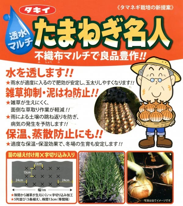 たまねぎページ Amazon.co.jp: 〈2dL〉タマネギ種【 ボルト 】タキイ種苗 : DIY