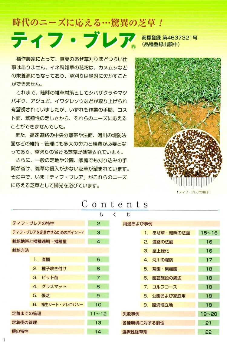 週末限定タイムセール》「ティフブレア」張芝10平米分（東海・北陸地区）タキイ種苗 ☆送料含む☆PVP登録品種種子☆代引不可 果菜 