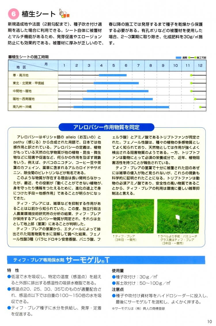 ティフブレア」ピット苗 200穴4トレイ（32m2分）1セット PVP