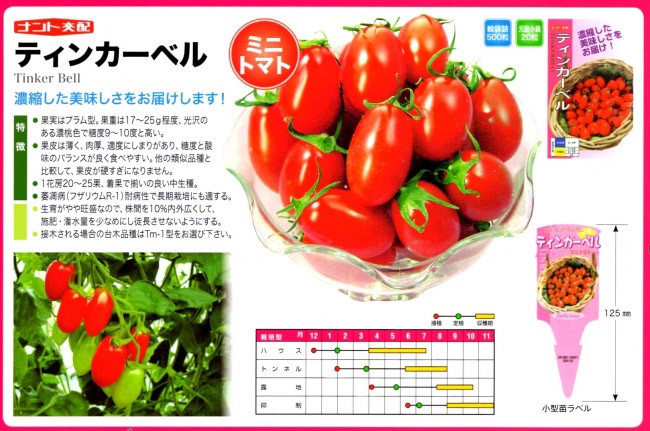 ミニトマト種子】ナント種苗 「ティンカーベル」500粒 ☆販売中止