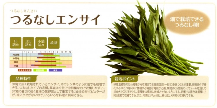 つるなしエンサイ 1リットル【エンサイ種子】 沖縄 （フタバ種苗） ☆メーカー直送につき代引不可  :VS001300712-3:清水屋種苗園芸ヤフーショップ 通販 