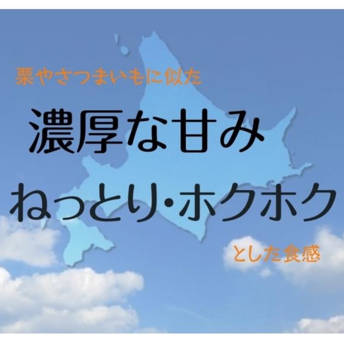 キャンペーンバナー