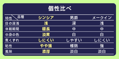 じゃがいも個性比べ