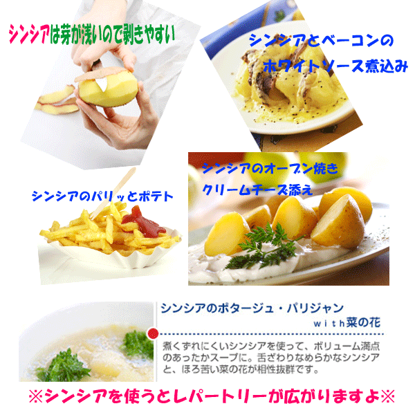 シンシアお料理レパートリー