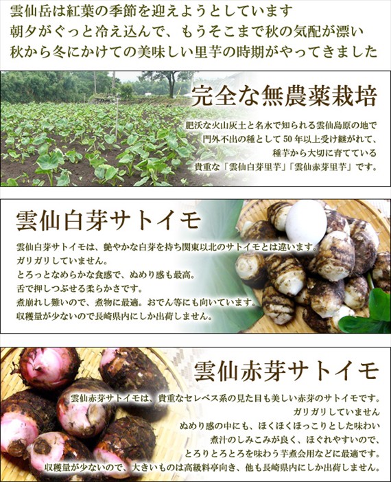 里いも雲仙島原産赤芽里芋5kg混合サイズ無農薬栽培 代購幫