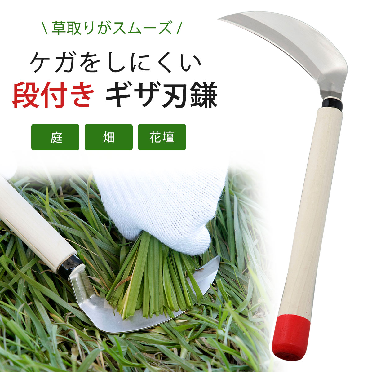 アキラさんギザ付き草取りに鎌６本 37545.jpg
