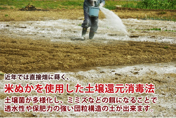 信濃屋 米ぬか Yahoo ショッピング