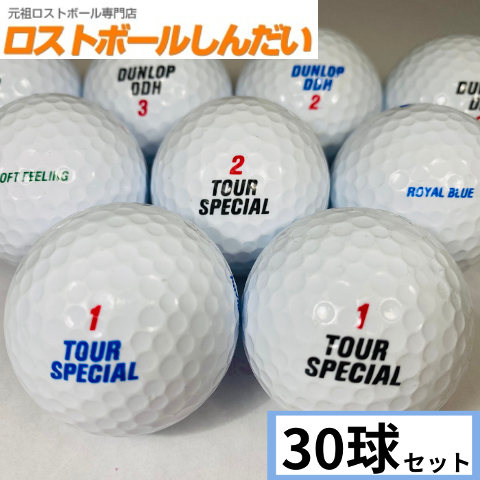 DUNLOP - ◎◎DUNLOP ダンロップ パークゴルフクラブ TOUR SPECIAL DP-20 右利き DUNLOP ダンロップ パークゴルフクラブ TOUR SPECIAL DP-20 右