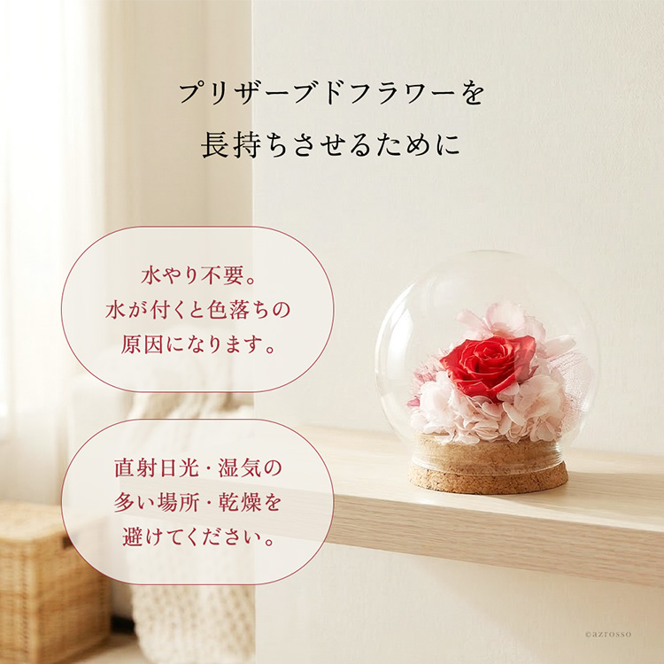 詳細画像15