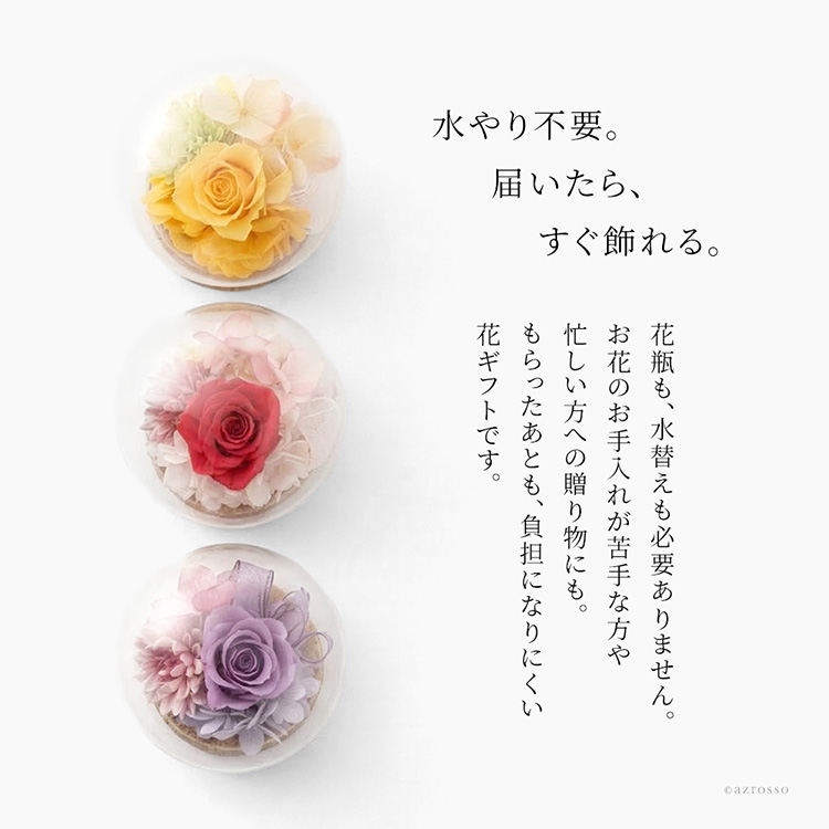 商品画像5