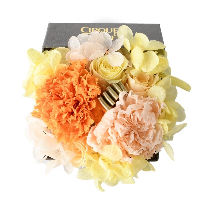 母の日 ギフト プリザーブド フラワー ボックス セット アレンジメント カーネーション バラ 紫陽花 花 以外 傘 雨傘 プレゼント Cdfmot108s シンフーライフアザーライフ 通販 Yahoo ショッピング