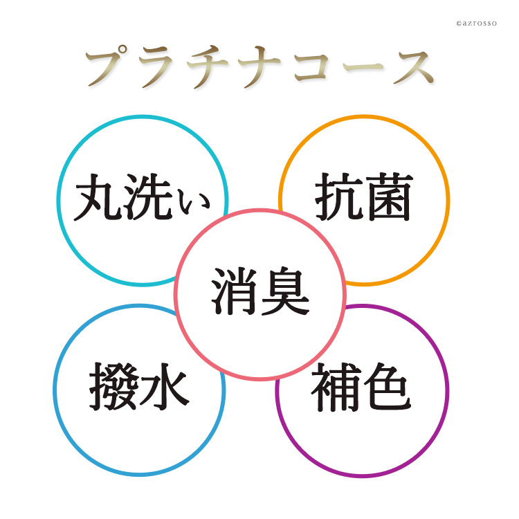 補色つき【プラチナコース】パンプス クリーニング 撥水加工 補色 染み抜き 本革 レディース 靴 クリーニング 宅配 革靴 洗濯 汚れ落とし 除菌  消臭 カビ 防水