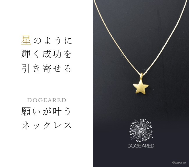 ❤③最高峰の富とカリスマ性を得る(ネックレス)❤DeerDeer私物❤浄化済 ❤③最高峰の富とカリスマ性を得る(ネックレス)❤DeerDeer私物