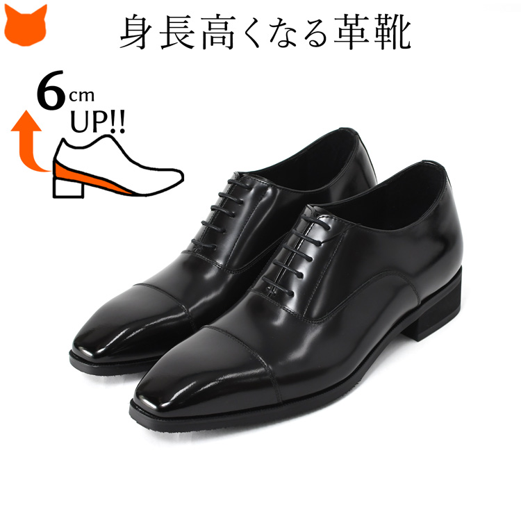 MADRAS BEE ゴアテックス 26 EEE ビジネスシューズ　革靴　3E madras（マドラス） 本革 ビジネスシューズ メンズ 革靴 3E 身長 6cm