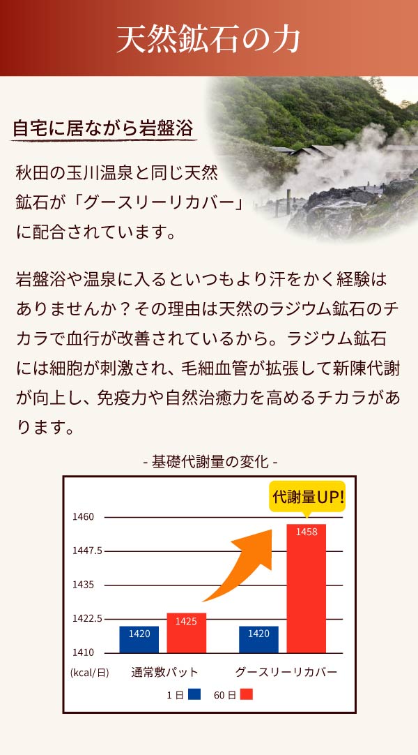 グースリー リカバー 敷きパッド セミダブル 暖かい 敷きパット 敷