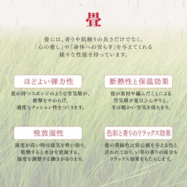 リビング収納 チェスト キャビネット タンス テレビ台 日本製 収納付きデザイン畳リビングステージ 畳ボックス収納 180×180cm ロータイプ | ブランド登録なし | 10
