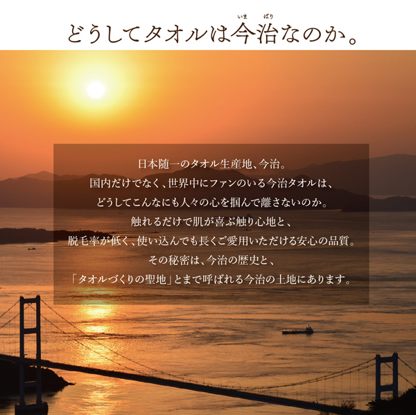 セミダブル 今治生まれの 綿100％ 洗える ふっくらタオルの贅沢カバー