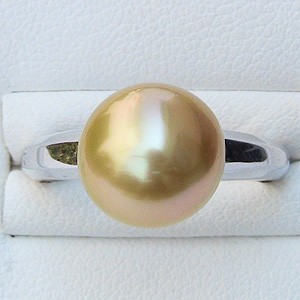 本真珠南洋白蝶真珠シルバーとゴールド「鳥と枝」s925リングY888 常盤木】シロチョウパール ダイヤモンド ホワイトゴールド ペンダント