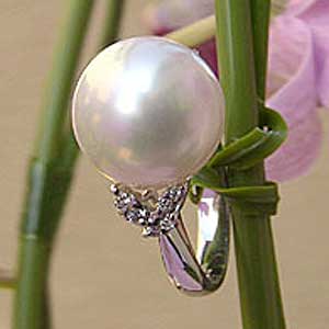 パール:リング:真珠:指輪:南洋白蝶真珠:ホワイト系:13mm:ダイヤモンド:0.17ct:PT900:プラチナ