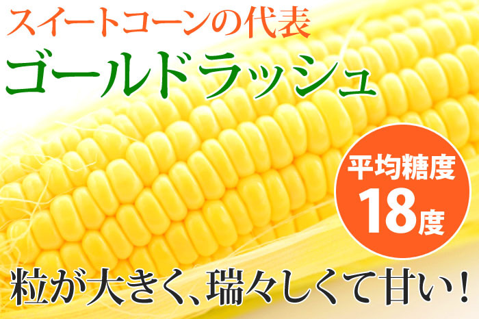 ２２５０円・送料込み・朝採れ・５キロ・トウモロコシ・「ゴールドラッシュ」ハネ出し 2250円・送料込み・朝採れ・5キロ・トウモロコシ