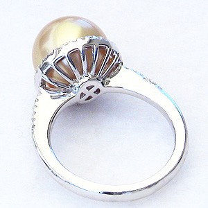 パール 指輪 真珠 リング ル 南洋白蝶真珠 ゴールド系 直径11mm タイヤ