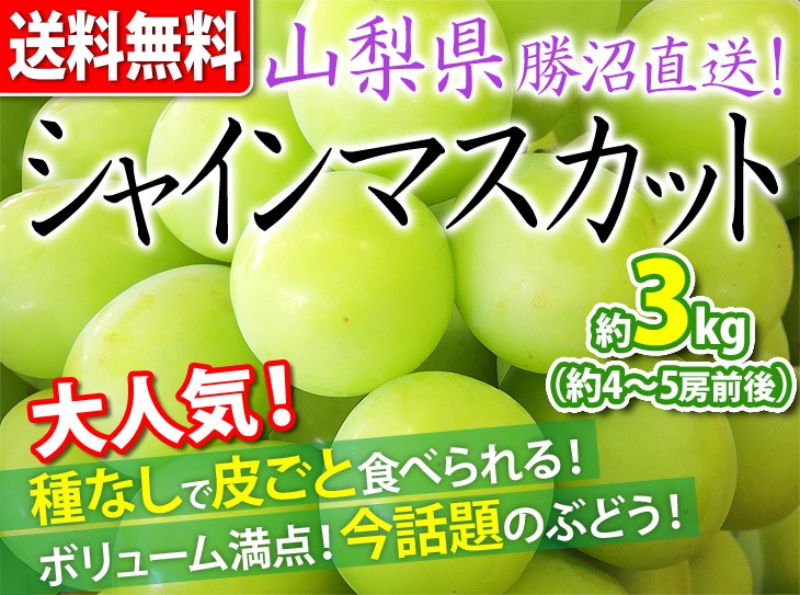 ご予約受付中 シャインマスカット 山梨県 勝沼産 ぶどう ブドウ 葡萄