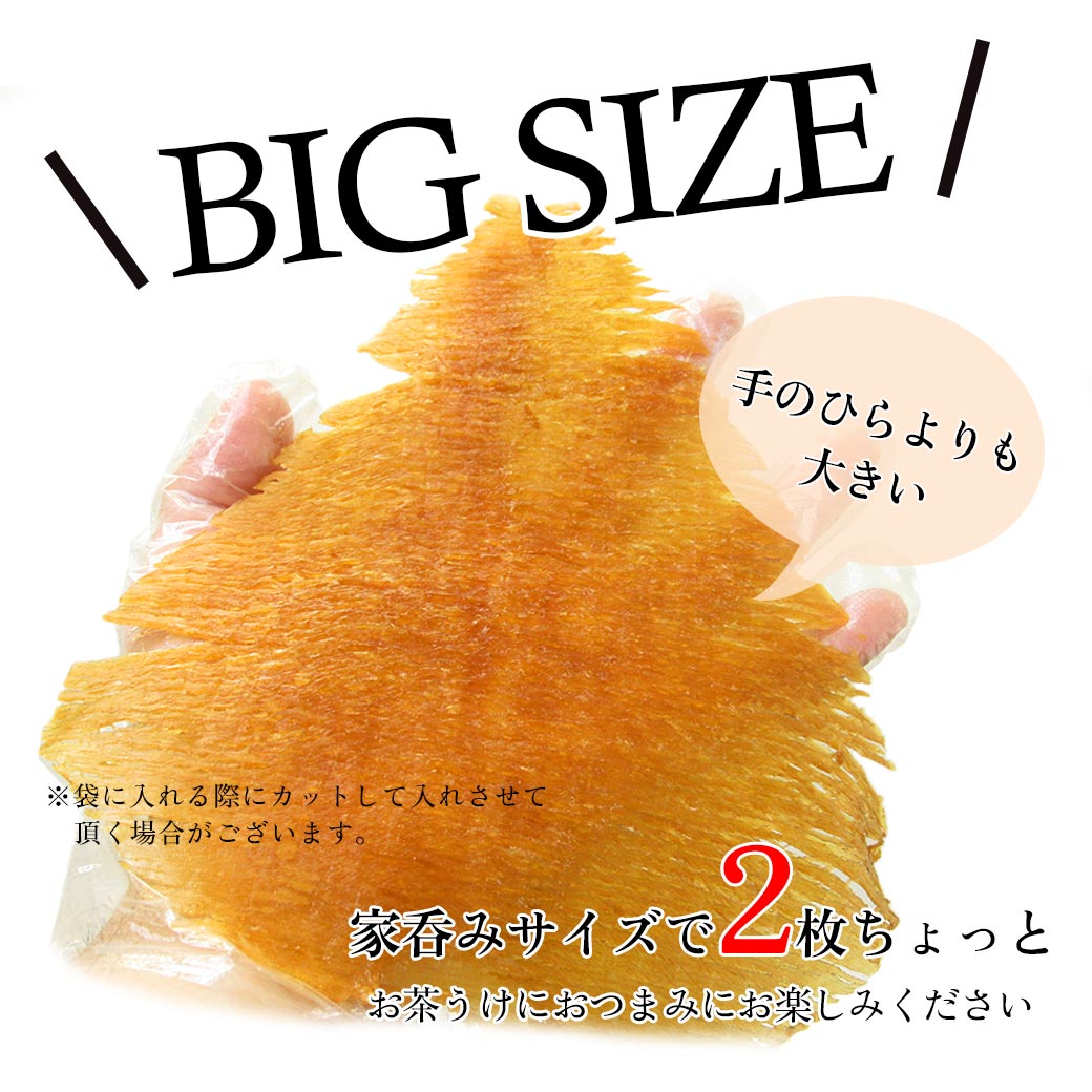 BIGSIZE