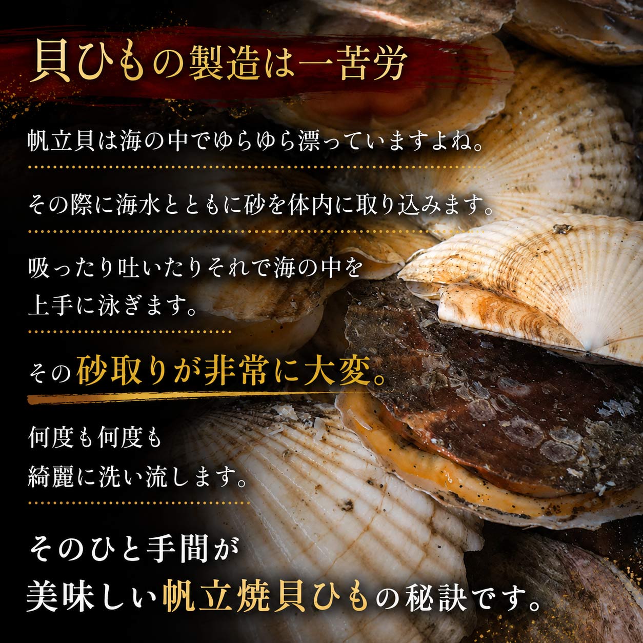 北海道産帆立焼き貝ひも