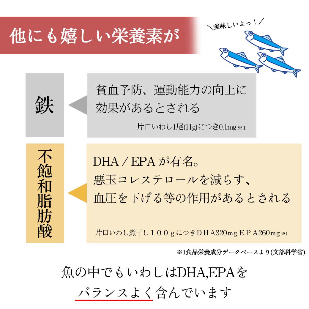 イワシの栄養