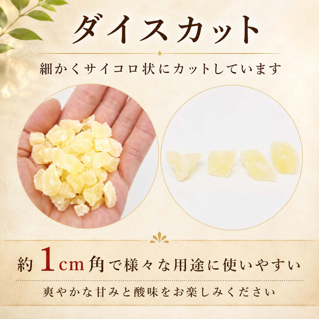 ドライパイン