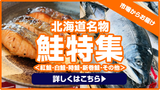 生タコ足 生冷凍 1kg 北海道産 北海道産タコ 蛸 たこ タコ 水蛸