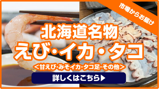 生タコ足 生冷凍 2kg 北海道産 北海道産タコ 蛸 たこ タコ 水蛸