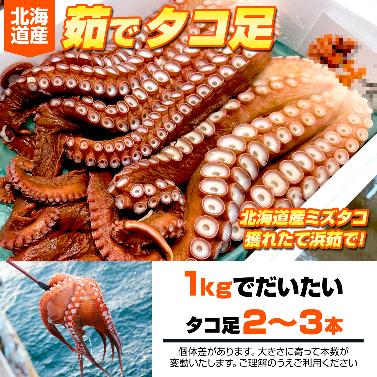ボイル タコ足 2kg 北海道産 送料0円 北海道産タコ 蛸 たこ タコ たこ