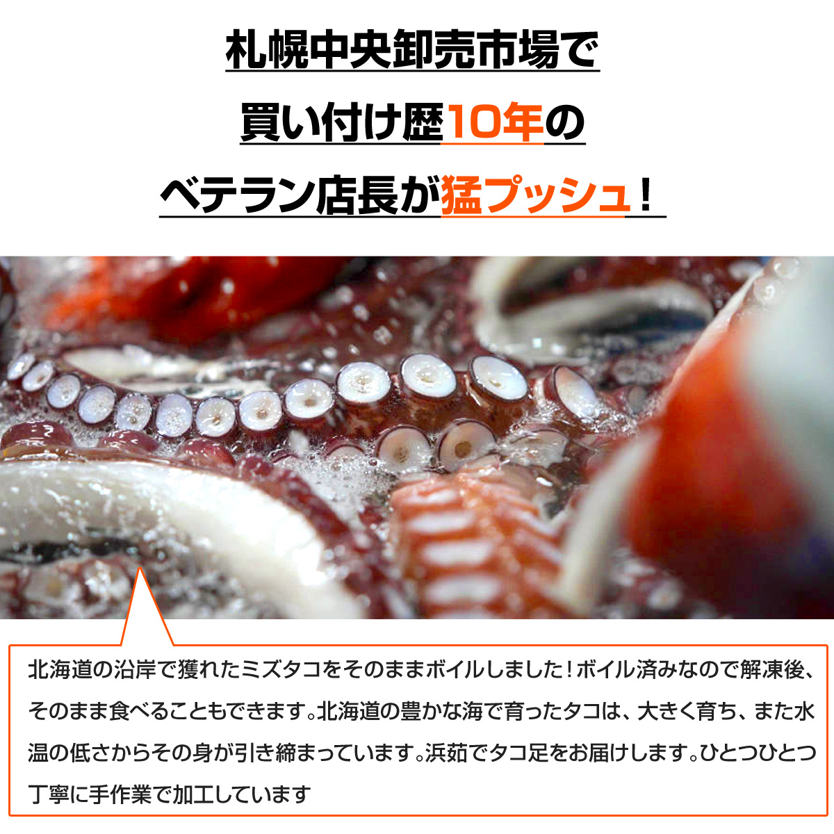 ボイル タコ足 2kg 北海道産 送料0円 北海道産タコ 蛸 たこ タコ たこ