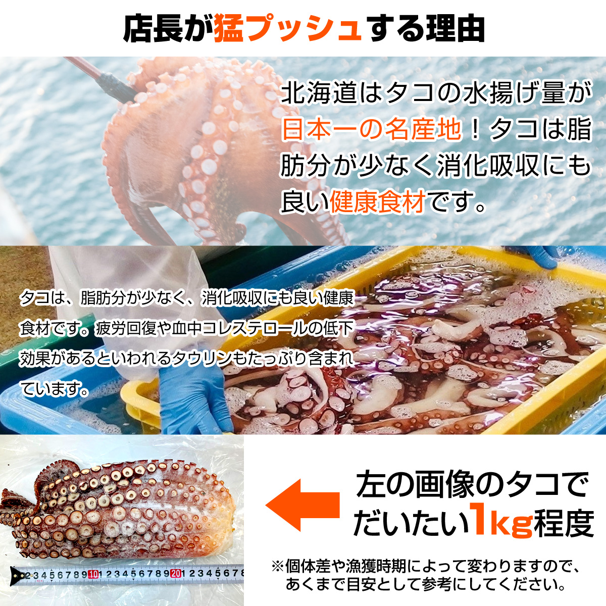 ボイル タコ足 2kg 北海道産 送料0円 北海道産タコ 蛸 たこ タコ たこ