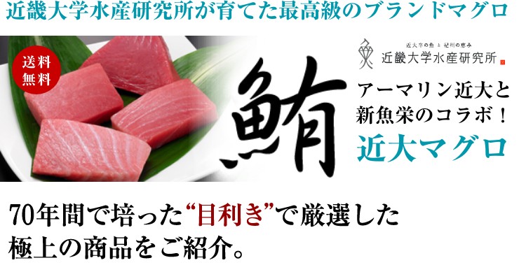 ポイント10倍 マグロ 刺身 近大マグロ 個食セット 70年の目利き 近畿大学 共同開発 厳選 トロ 黒門市場 流行に Herbalpotential Co Nz