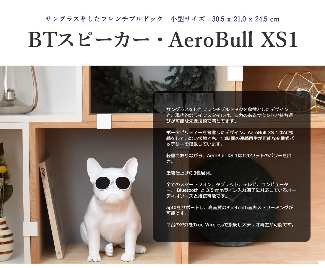 ○○musiclife/ミュージックライフ AeroBull XS1 ワイヤレススピーカー