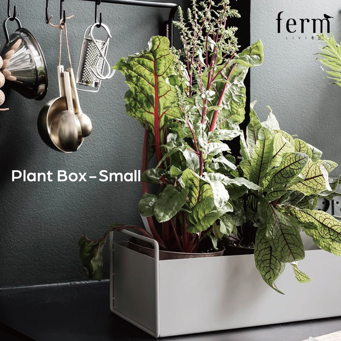 ●●ferm LIVING ファームリビング　 Plant BoxプラントボックスS 植木鉢 観葉植物