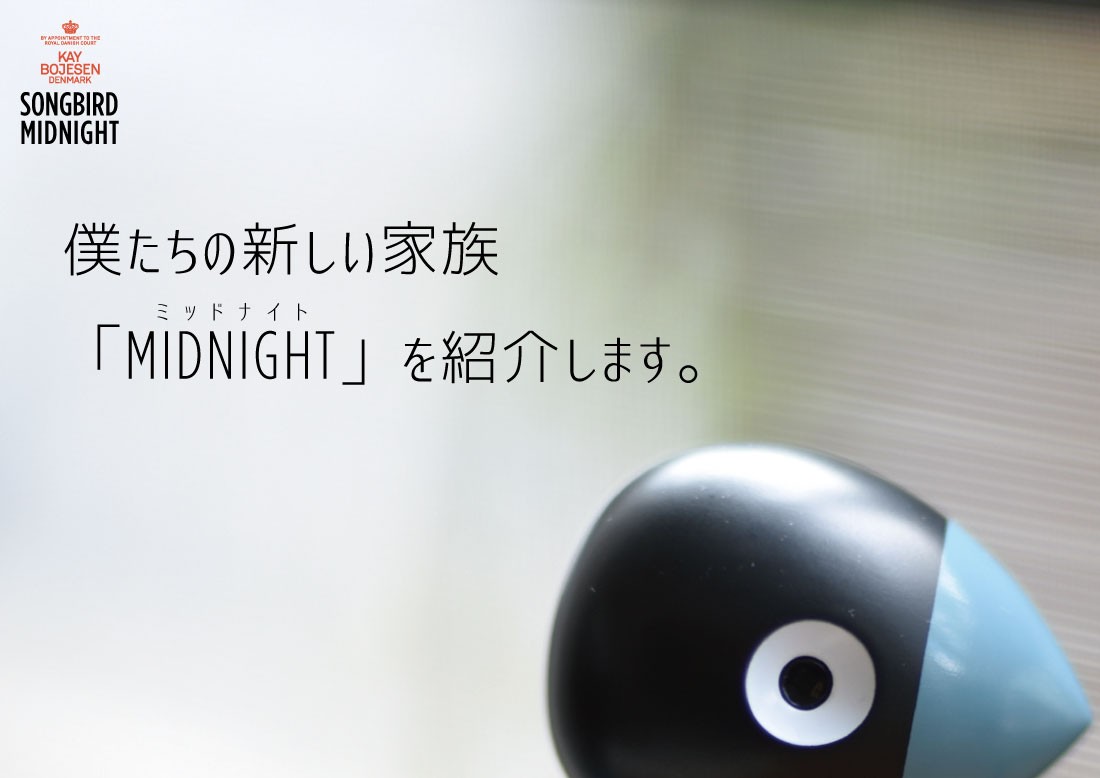 Kay Bojesen Denmark カイ・ボイスン SONGBIRD MIDNIGHT ソングバード