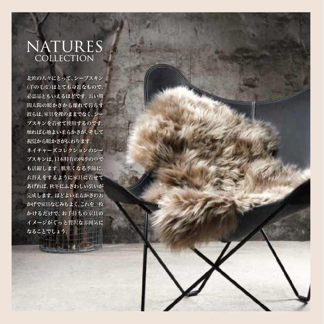 NATURES COLLECTION ネイチャーズ コレクション SHEEP CUSHION