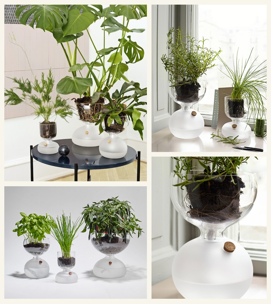 ホルムガード ガイア プラントグラス　大サイズ plantglass_06.jpg