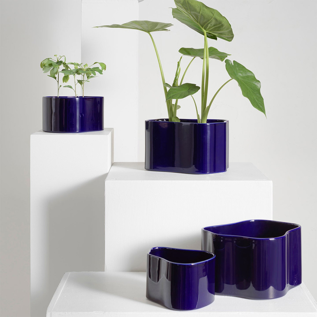 ポストカードプレゼント】artek アルテック RIIHITIE PLANT POT A
